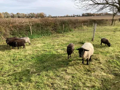 Rust in je hoofd, kracht in je dag