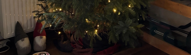 Jij bepaalt hoe jouw feestdagen eruitzien!